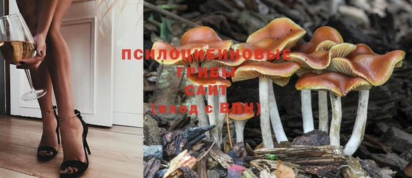 MDMA Богданович