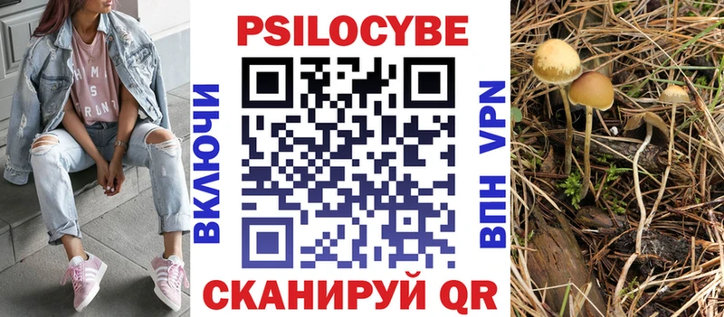 наркотики kraken маркетплейс Псилоцибиновые грибы прущие грибы Медногорск